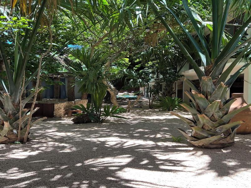 Japoneza Retreat Centro - Adults Only image