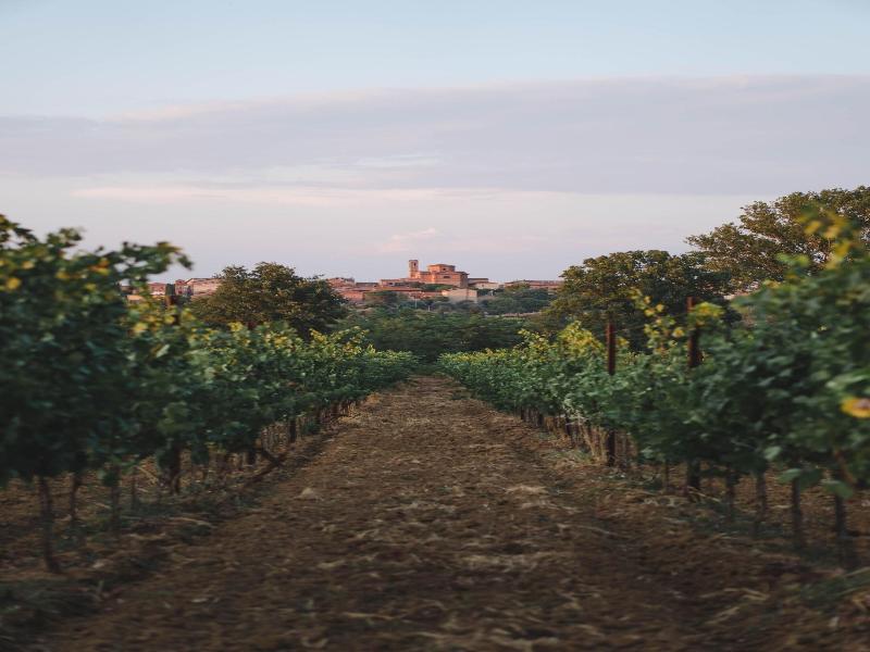 Borgo San Vincenzo image