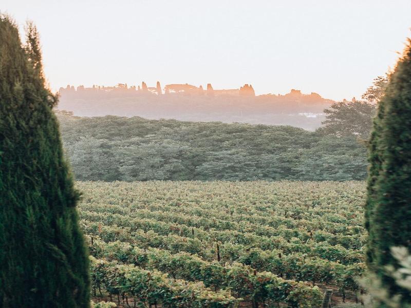 Borgo San Vincenzo image