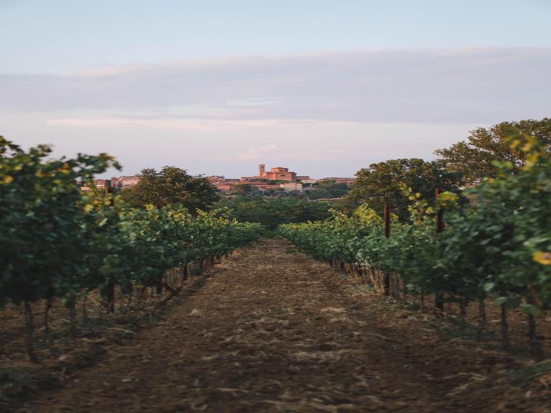 Borgo San Vincenzo image