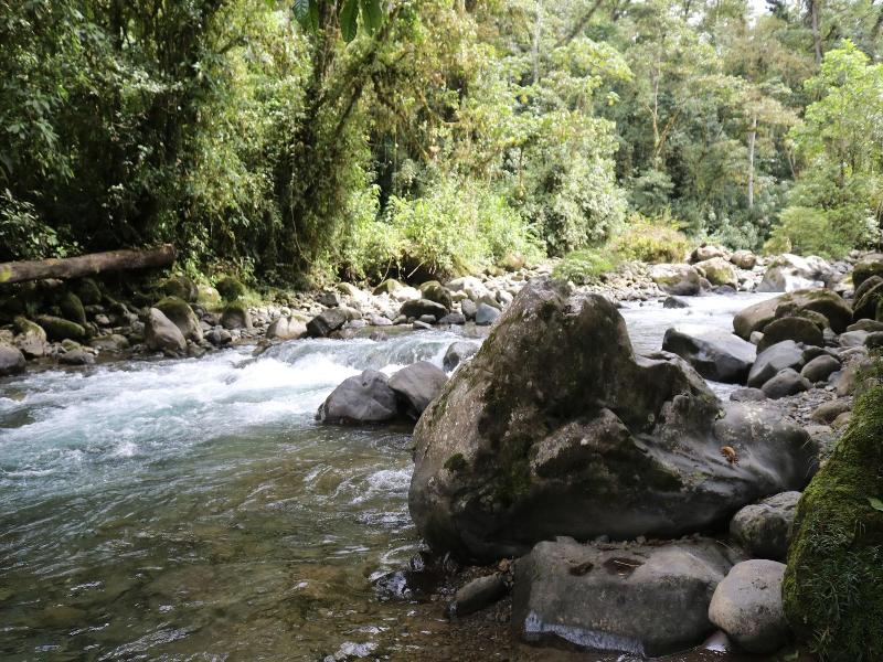 La Marta Refugio De Vida Silvestre image