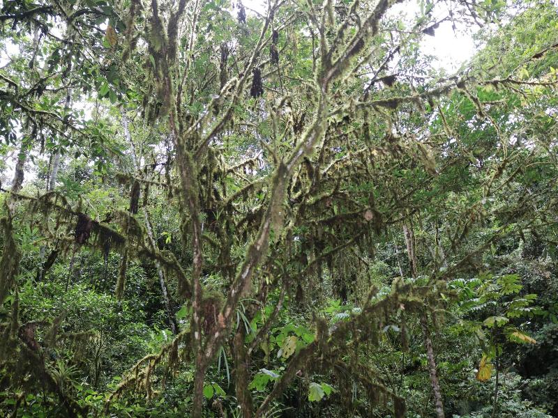 La Marta Refugio De Vida Silvestre image