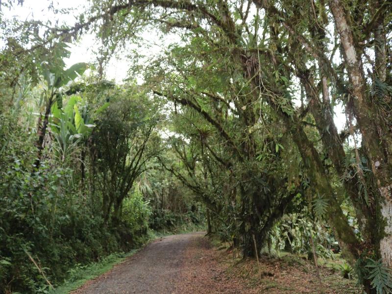 La Marta Refugio De Vida Silvestre image