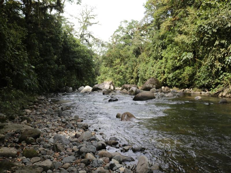 La Marta Refugio De Vida Silvestre image