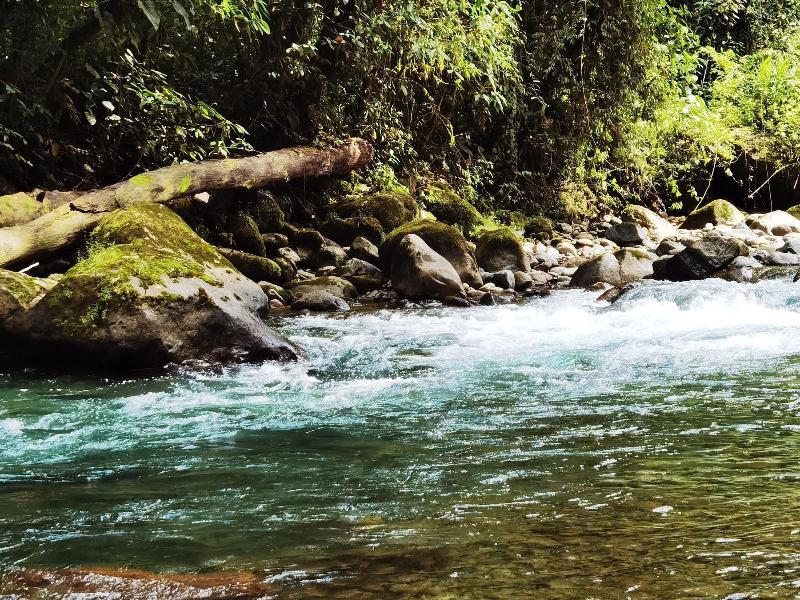 La Marta Refugio De Vida Silvestre image