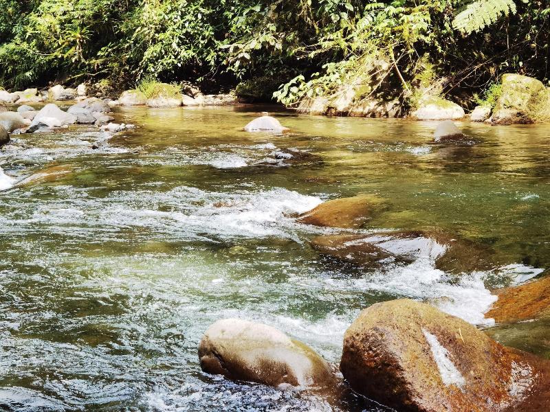 La Marta Refugio De Vida Silvestre image