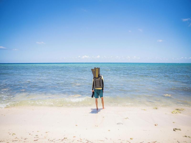 Vida Cayman image
