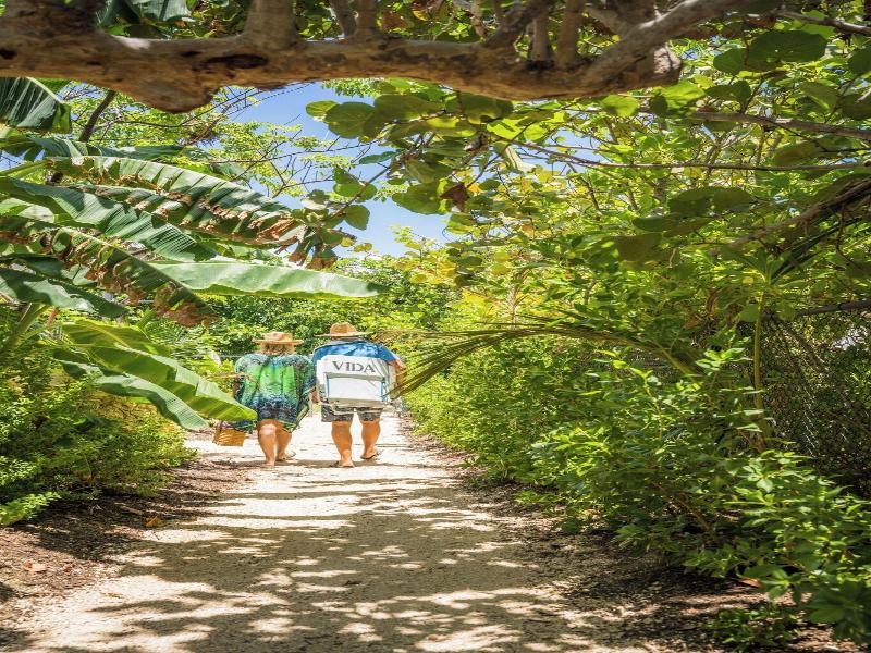 Vida Cayman image