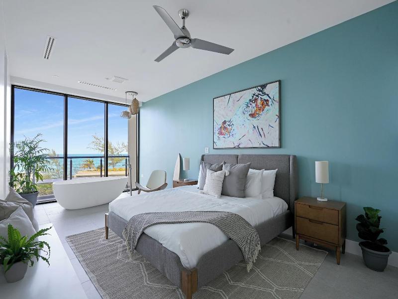 Vida Cayman image