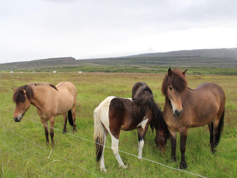 Stã³ri-bakki Guesthouse With Hot Tub