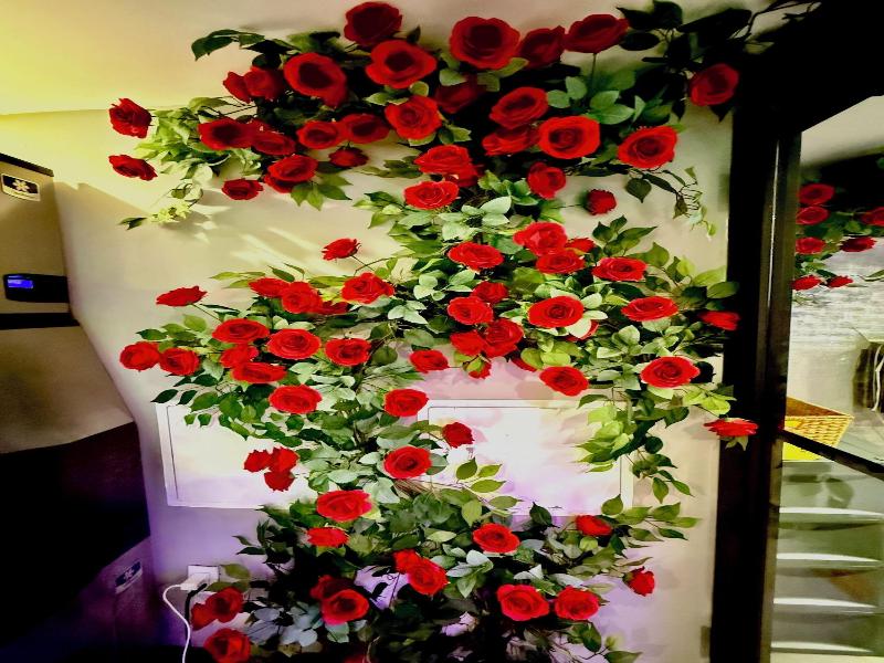 Rose Hotel Bronx image