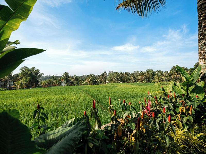 Kaki Uma Villa image