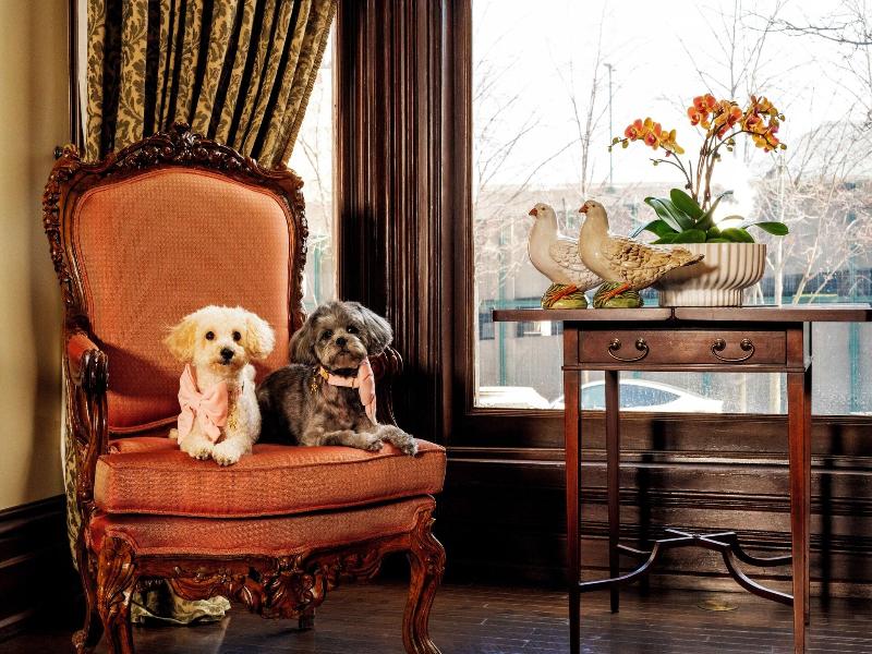The Wheeler Mansion image