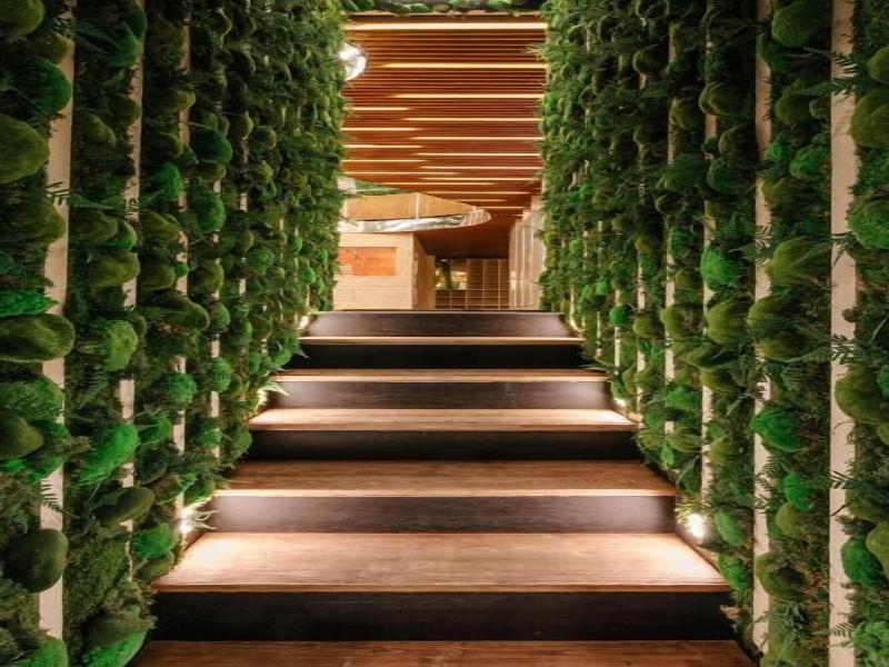Wellness Rooms Central image