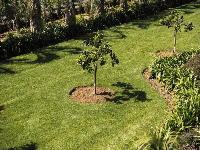 Azores Homes Resort & Spa image
