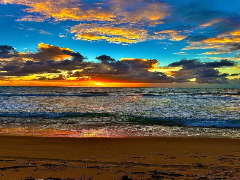 Malia Beach 302d image