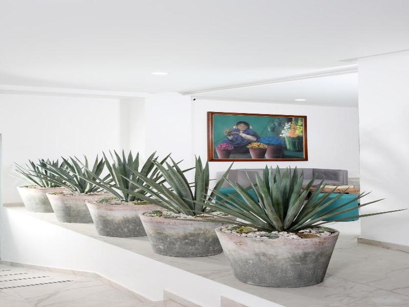 Cã­rculo Condesa image