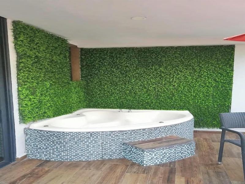 Cã­rculo Condesa image