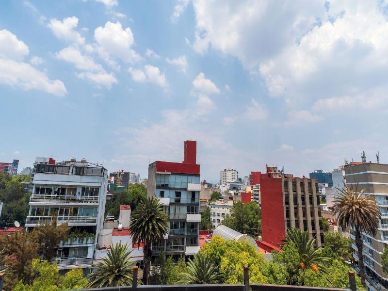 Cã­rculo Condesa image