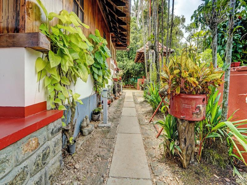 Alaya Stays Palm Dale By The Backwaters image