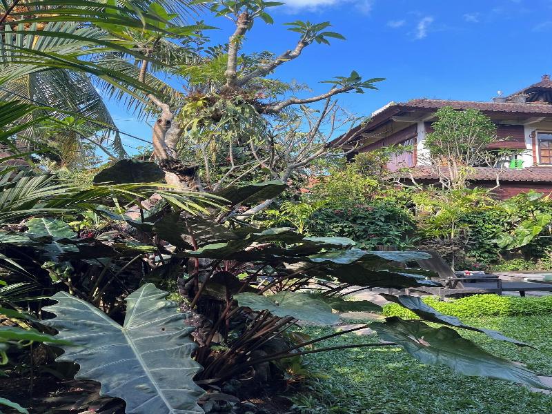 Sabar House Ubud View By Eps image
