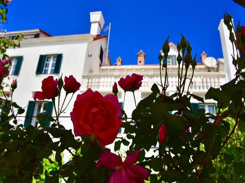 Villa Giardino Heritage Boutique Hotel Bol image