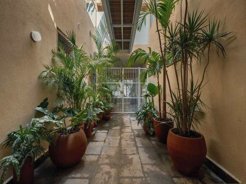 Cholula Condesa Hotel By Lumina image