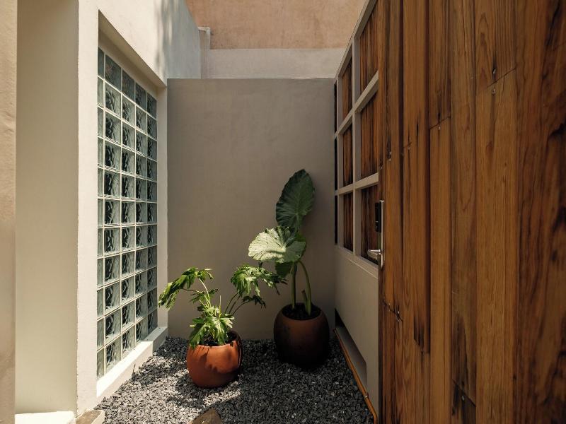 Cholula Condesa Hotel By Lumina image