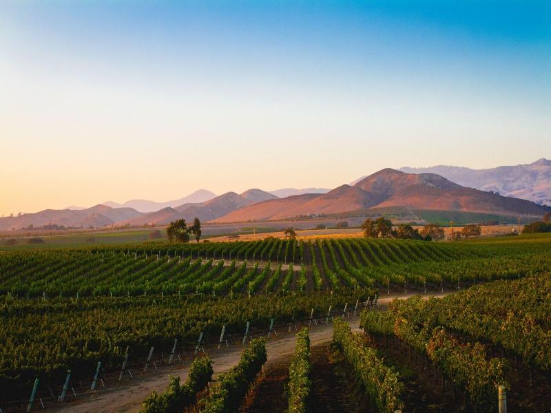 Appellation Healdsburg image