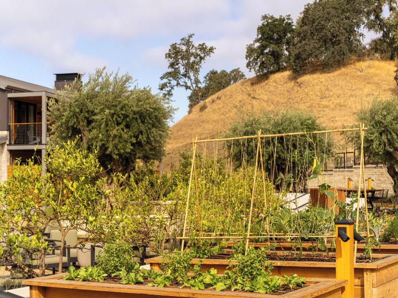 Appellation Healdsburg image