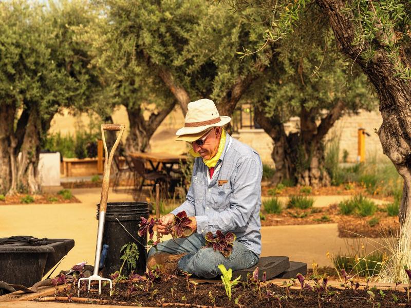 Appellation Healdsburg image
