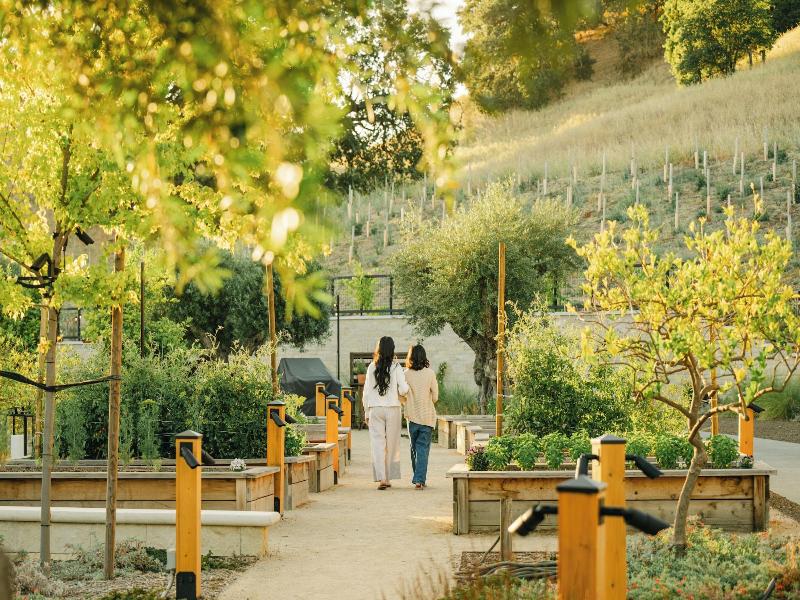 Appellation Healdsburg image