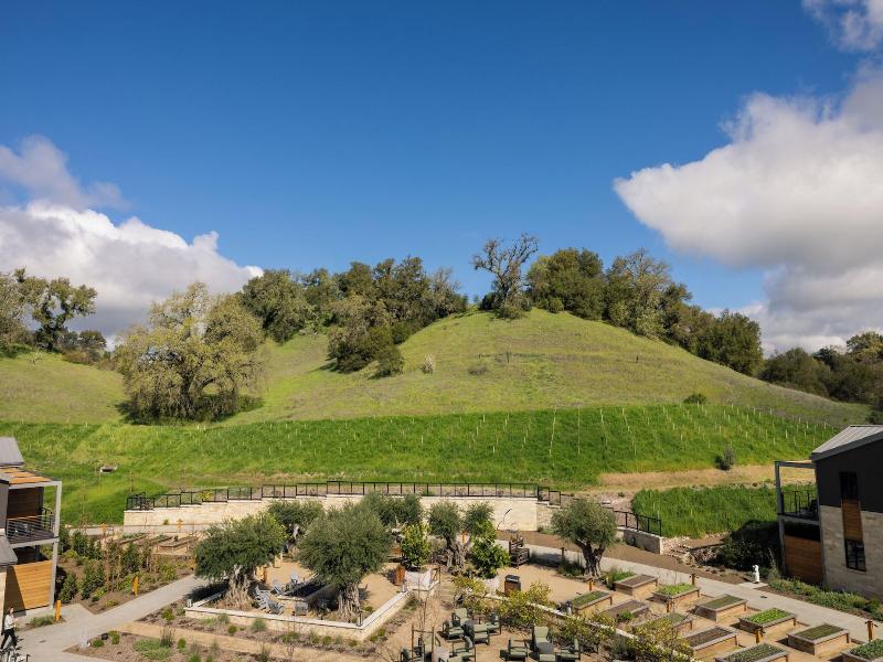 Appellation Healdsburg image