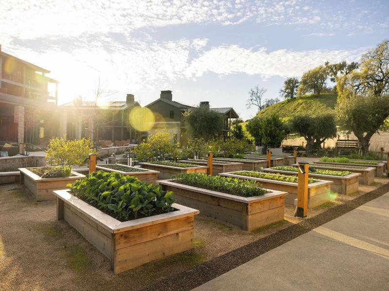 Appellation Healdsburg image