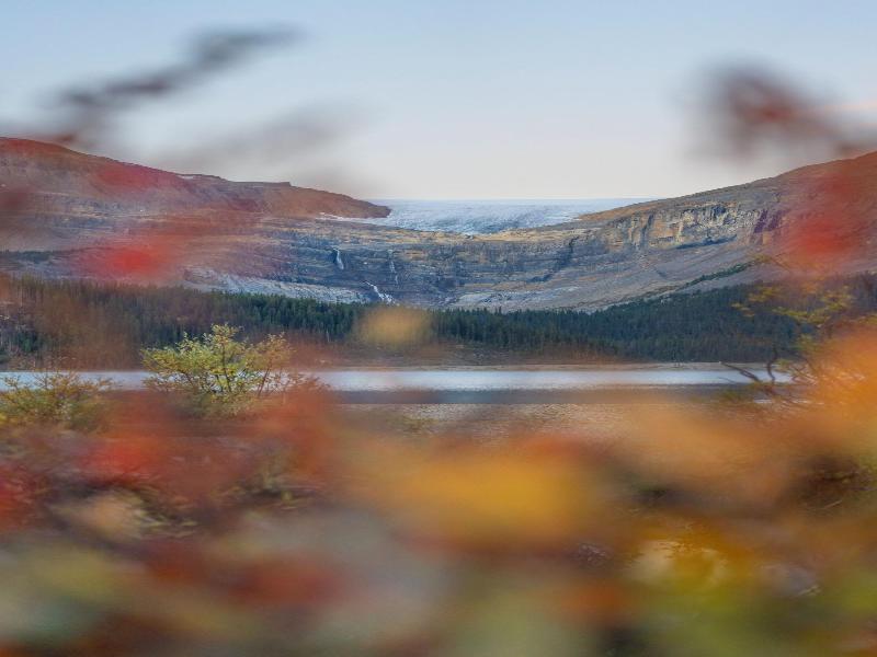 The Lodge At Bow Lake image