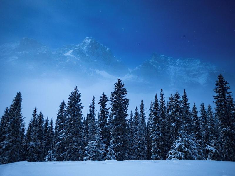 The Lodge At Bow Lake image