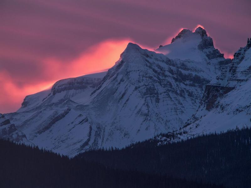 The Lodge At Bow Lake image