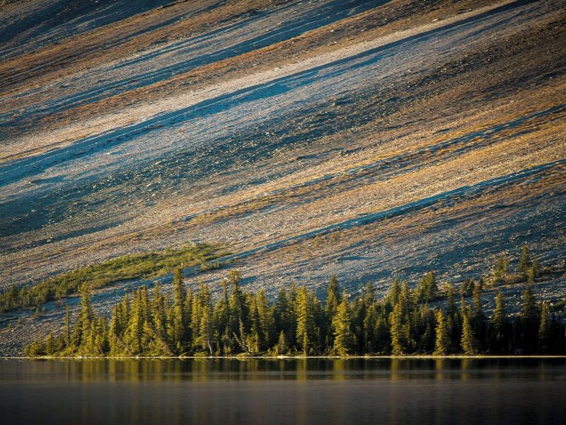 The Lodge At Bow Lake image