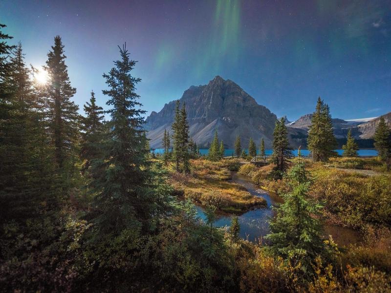 The Lodge At Bow Lake image
