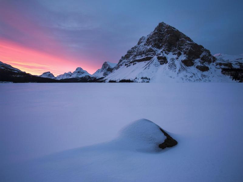 The Lodge At Bow Lake image