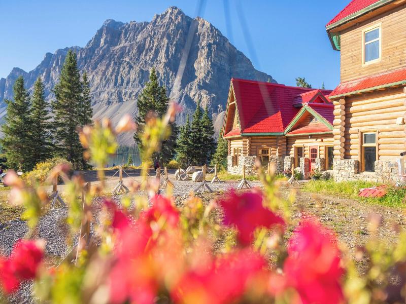 The Lodge At Bow Lake image