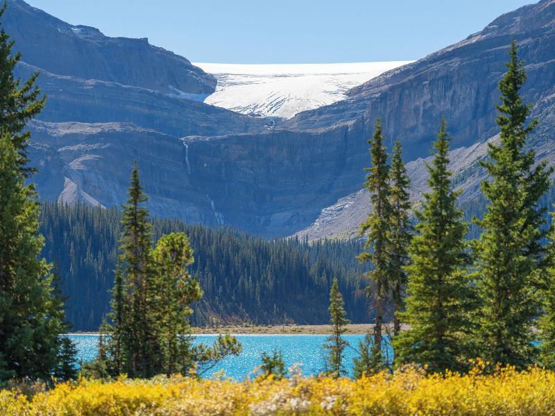 The Lodge At Bow Lake image
