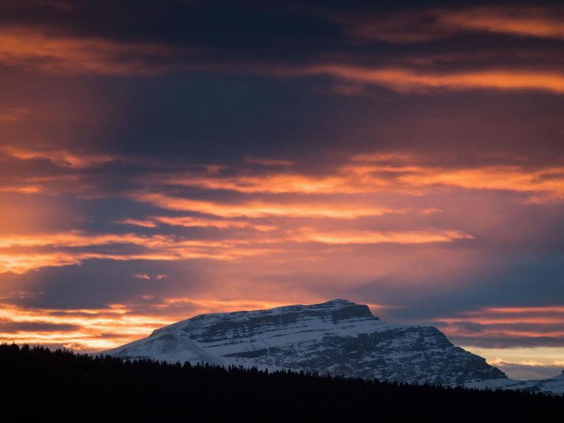 The Lodge At Bow Lake image