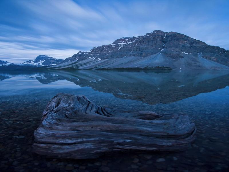The Lodge At Bow Lake image