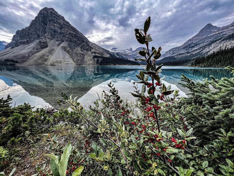 The Lodge At Bow Lake image