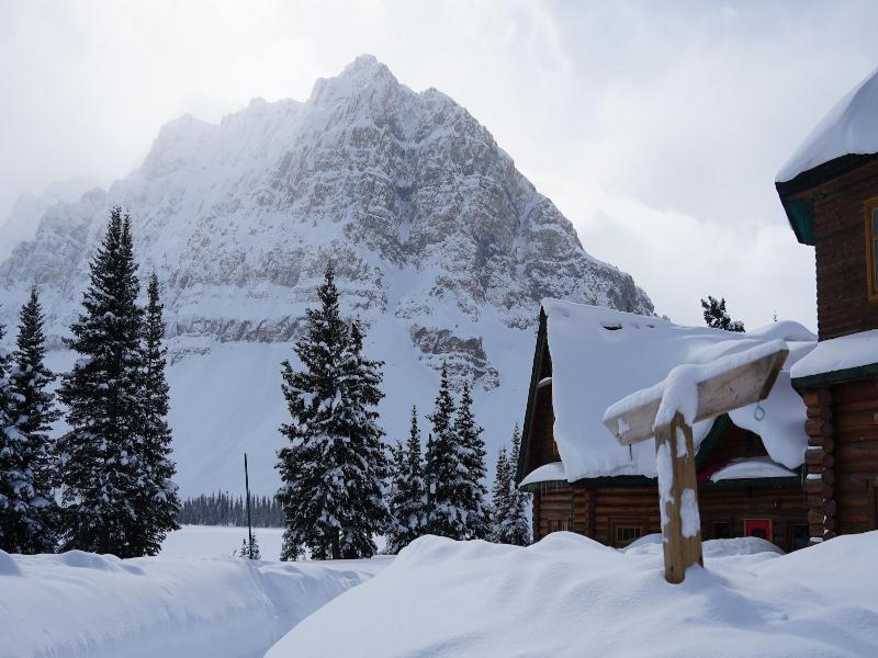 The Lodge At Bow Lake image