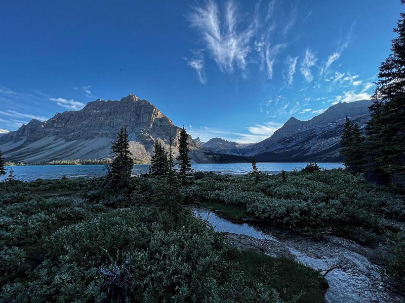 The Lodge At Bow Lake image
