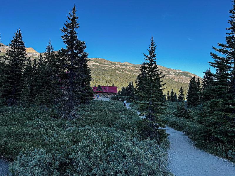 The Lodge At Bow Lake image