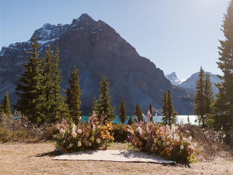 The Lodge At Bow Lake image
