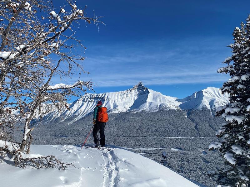 The Lodge At Bow Lake image